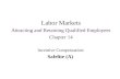 Labor Markets Attracting and Retaining Qualified Employees Chapter 14 Incentive Compensation: Safelite (A)