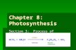 Chapter 8: Photosynthesis Section 3: Process of Photosynthesis.
