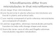 Microfilaments differ from microtubules in that microfilaments A) are larger than microtubules. B) are found only in plants whereas microtubules are found.