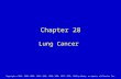 Chapter 28 Lung Cancer Copyright © 2013, 2009, 2003, 1999, 1995, 1990, 1982, 1977, 1973, 1969 by Mosby, an imprint of Elsevier Inc.