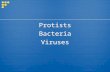 Protists Bacteria Viruses Protists Bacteria Viruses.