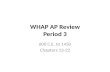 WHAP AP Review Period 3 600 C.E. to 1450 Chapters 13-22.