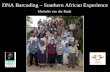 DNA Barcoding – Southern African Experience Michelle van der Bank.