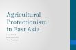 Agricultural Protectionism in East Asia Econ 3313B Instructor: Han Thaís Tambara.