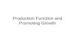 Production Function and Promoting Growth. The Production Function and Theories of Growth The production function shows the relationship between the quantity.