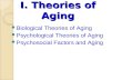 I. Theories of Aging Biological Theories of Aging Psychological Theories of Aging Psychosocial Factors and Aging.