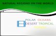 POLAR OCEANS DESERT TROPICAL FOREST. What is the polar natural region? The polar region is the largest desert in the world. Only instead of sand it is.