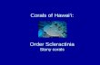 Corals of Hawai’i: Order Scleractinia Stony corals.