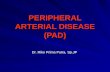 PERIPHERAL ARTERIAL DISEASE (PAD) Dr. Riko Prima Putra, Sp.JP.