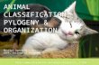 Http:// ANIMAL CLASSIFICATION, PYLOGENY & ORGANIZATION Roselyn Aperocho – Naranjo USPF, College of Pharmacy .