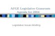 AFGE Legislative Grassroots Agenda for 2004 Legislative Issues Briefing.