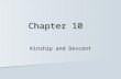 Chapter 10 Kinship and Descent. Kinship Kinship is a social network of relatives within which individuals have rights and obligations. Kinship is a social.