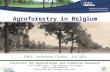 Agroforestry in Belgium Institute for Agricultural and Fisheries Research Plant Sciences Unit – Crop Husbandry & Environment  Agriculture.