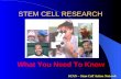 SCAN – Stem Cell Action Network STEM CELL RESEARCH What You Need To Know.