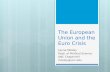 The European Union and the Euro Crisis Layna Mosley Dept. of Political Science UNC Chapel Hill mosley@unc.edu.