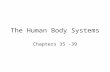 The Human Body Systems Chapters 35 -39. Levels of Organization Cells – basic units of structure. Tissues – groups of similar cells that perform a single.