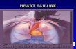 HEART FAILURE l.l.. l MECHANISMS WHICH INFLUENCES THE HEART MUSCLE SHORTENING AND STROKE VOLUME: 1) PRELOAD: LENGTH OF THE MUSCLE AT THE ONSET OF.