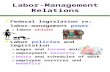 Labor-Management Relations l Federal legislation re: labor-management power »labor unions l Labor policies and legislation »wages and income maintenance.