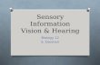 Sensory Information Vision & Hearing Biology 12 S. Dosman.