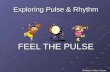 Exploring Pulse & Rhythm FEEL THE PULSE All Music © Alan J Currie.