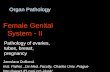 Organ Pathology Female Genital System - II Pathology of ovaries, tubes, breast, pregnancy Jaroslava Dušková Inst. Pathol.,1st Med. Faculty, Charles Univ.