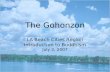 The Gohonzon LA Beach Cities Region Introduction to Buddhism July 2, 2007.
