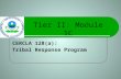 Tier II: Module 1C CERCLA 128(a): Tribal Response Program.