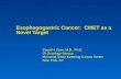 Esophagogastric Cancer: CMET as a Novel Target David H. Ilson, M.D., Ph.D. GI Oncology Service Memorial Sloan-Kettering Cancer Center New York, NY.