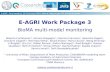 E-AGRI Work Package 3 BioMA multi-model monitoring Roberto Confalonieri 1, Simone Bregaglio 1, Caterina Francone 1, Valentina Pagani 1, Giovanni Cappelli.