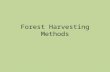 Forest Harvesting Methods. Clear Cutting This is the method most used ALL the trees in a certain area are cut down The stumps and underbrush that is left.