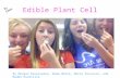 Edible Plant Cell By Morgan Doverspike, Emma White, Maria Pascuzzo, and Maddy Haverilla By Emma.