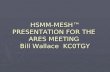 HSMM-MESH™ PRESENTATION FOR THE ARES MEETING Bill Wallace KC0TGY.
