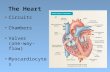 Circuits Chambers Valves (one-way-flow) Myocardiocytes The Heart.