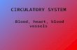 CIRCULATORY SYSTEM - Blood, heart, blood vessels.
