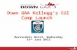 Down GAA Kellogg’s Cúl Camp Launch Burrendale Hotel, Wednesday 13 th June 2012.