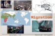 Migration Haitian RefugeesSalinas, CA. KEY ISSUES Why do people migrate? Where are migrants distributed? Why do migrants face obstacles? Why do people.