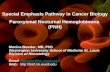 Special Emphasis Pathway in Cancer Biology Paroxysmal Nocturnal Hemoglobinuria (PNH) Monica Bessler, MD, PhD Washington University School of Medicine St.