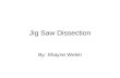 Jig Saw Dissection By: Shayne Welsh. Jig Saw Objective –How the saw operates from battery to motor This type is also known as a reciprocating saw.