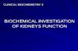 CLINICAL BIOCHEMISTRY 3 BIOCHEMICAL INVESTIGATION OF KIDNEYS FUNCTION.