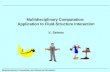 Multidisciplinary Computation: Application to Fluid-Structure Interaction V. Selmin Multidisciplinary Computation and Numerical Simulation.