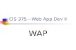 CIS 375—Web App Dev II WAP. 2 Introduction to WAP WAP ________________________ is an application communication protocol that uses a ______ Browser in.