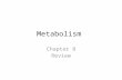 Metabolism Chapter 8 Review. Metabolism The totality of an organism’s chemical processes. Concerned with managing the material and energy resources of.