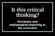 It this critical thinking? Numeracy and mathematical reasoning in the curriculum.