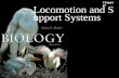 Locomotion and Support Systems Chapter 41. Locomotion and Support Systems 2Outline Diversity of Skeletons  Hydrostatic Skeleton  Exoskeletons  Endoskeletons.