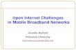 O pen Internet Challenges in Mobile Broadband Networks Jennifer Rexford Princeton University jrex.