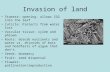 Invasion of land Stomata: opening: allows CO2 into the leaf Cuticle: Protects from water loss Vascular tissue: xylem and phloem Roots: absorb nutrients.