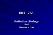 DMI 261 Radiation Biology AndProtection. Unit 2 RADIATION Electromagnetic Spectrum –The frequency range of electromagnetic radiation and the photon wavelength.