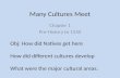 Many Cultures Meet Chapter 1 Pre-History to 1550 Obj: How did Natives get here How did different cultures develop What were the major cultural areas.