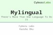 Mylingual There ’ s More Than One Language To Do It Cybozu Labs Kazuho Oku.