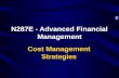 N287E - Advanced Financial Management Cost Management Strategies.